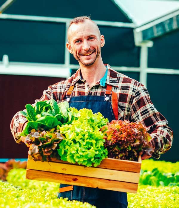 Medinė dėžė su įvairiomis lapinėmis daržovėmis, laikoma asmens